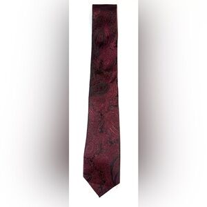 EXPRESS 100% Silk Paisley Mens Necktie